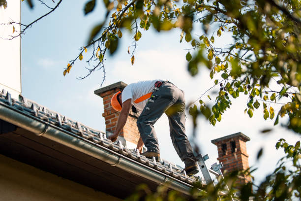 Best Local Roofing Companies  in Berryville, VA