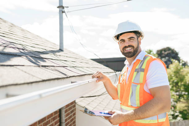 Best Roof Gutter Cleaning  in Berryville, VA